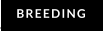 BREEDING