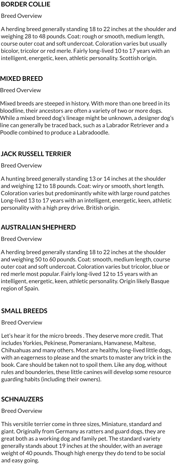 SMALL BREEDS  Breed Overview  Let’s hear it for the micro breeds . They deserve more credit. That includes Yorkies, Pekinese, Pomeranians, Hanvanese, Maltese, Chihuahuas and many others. Most are healthy, long-lived little dogs, with an eagerness to please and the smarts to master any trick in the book. Care should be taken not to spoil them. Like any dog, without rules and bounderies, these little canines will develop some resource guarding habits (including their owners).     SCHNAUZERS  Breed Overview  This versitile terrier come in three sizes, Miniature, standard and giant. Originally from Germany as ratters and guard dogs, they are great both as a working dog and family pet. The standard variety generally stands about 19 inches at the shoulder, with an average weight of 40 pounds. Though high energy they do tend to be social and easy going.      BORDER COLLIE    Breed Overview  A herding breed generally standing 18 to 22 inches at the shoulder and weighing 28 to 48 pounds. Coat: rough or smooth, medium length, course outer coat and soft undercoat. Coloration varies but usually bicolor, tricolor or red merle. Fairly long-lived 10 to 17 years with an intelligent, energetic, keen, athletic personality. Scottish origin.     MIXED BREED  Breed Overview  Mixed breeds are steeped in history. With more than one breed in its bloodline, their ancestors are often a variety of two or more dogs. While a mixed breed dog’s lineage might be unknown, a designer dog’s line can generally be traced back, such as a Labrador Retriever and a Poodle combined to produce a Labradoodle.       AUSTRALIAN SHEPHERD  Breed Overview  A herding breed generally standing 18 to 22 inches at the shoulder and weighing 50 to 60 pounds. Coat: smooth, medium length, course outer coat and soft undercoat. Coloration varies but tricolor, blue or red merle most popular. Fairly long-lived 12 to 15 years with an intelligent, energetic, keen, athletic personality. Origin likely Basque region of Spain.      JACK RUSSELL TERRIER  Breed Overview  A hunting breed generally standing 13 or 14 inches at the shoulder and weighing 12 to 18 pounds. Coat: wiry or smooth, short length. Coloration varies but predominantly white with large round patches Long-lived 13 to 17 years with an intelligent, energetic, keen, athletic personality with a high prey drive. British origin.