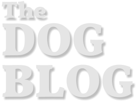 The  DOG  BLOG