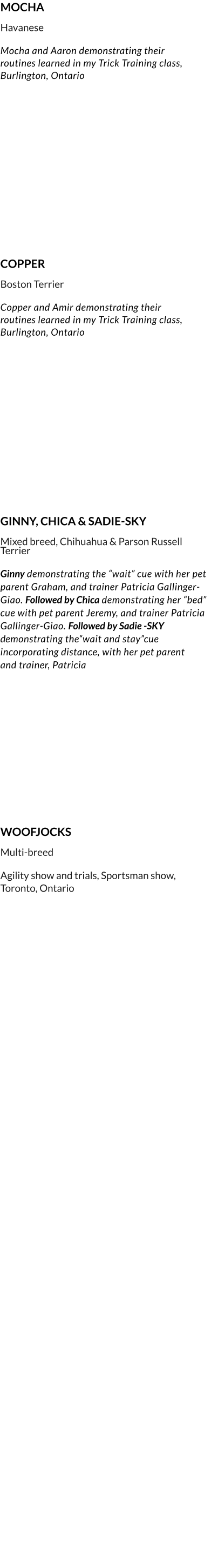 WOOFJOCKS  Multi-breed  Agility show and trials, Sportsman show, Toronto, Ontario     MOCHA  Havanese  Mocha and Aaron demonstrating their  routines learned in my Trick Training class, Burlington, Ontario      COPPER  Boston Terrier  Copper and Amir demonstrating their  routines learned in my Trick Training class, Burlington, Ontario        GINNY, CHICA & SADIE-SKY  Mixed breed, Chihuahua & Parson Russell    Terrier  Ginny demonstrating the “wait” cue with her pet parent Graham, and trainer Patricia Gallinger-Giao. Followed by Chica demonstrating her “bed” cue with pet parent Jeremy, and trainer Patricia Gallinger-Giao. Followed by Sadie -SKY demonstrating the“wait and stay”cue incorporating distance, with her pet parent  and trainer, Patricia